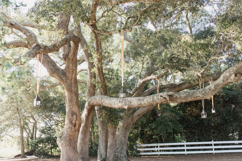 BeckySamWedding-LeighHaywardPhotography-420