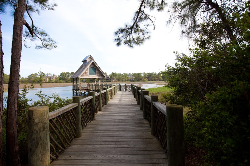 CT Cinder Creek Spring 8