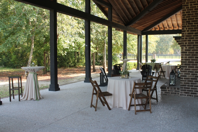 Pepper Plantation 9