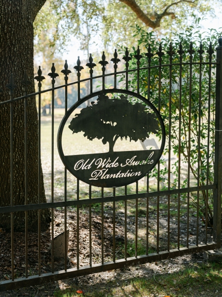 youngblood-webster-1003