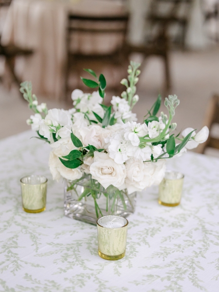 youngblood-webster-1117