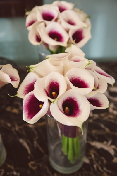 Jamie Breibart and Danny Hernandez's wedding at the William Aiken House in Charleston SC. wedding photography by amelia + dan, charleston, wedding photos, modern wedding photographer, photojournalis