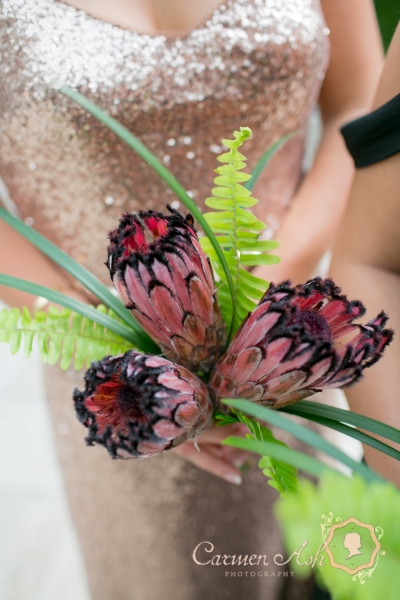 0378-Shahid-Charleston-Carmen-Ash