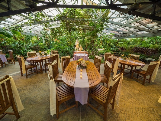 Magnolia Plantation 8