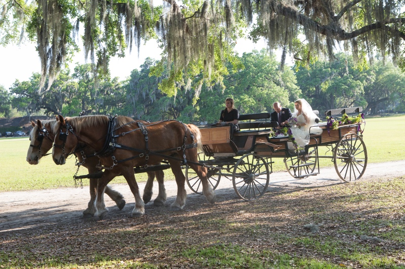 HKL Middleton Place Spring 3