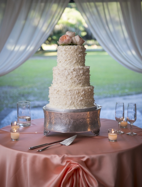 alone="yes"?>AHA Middleton Place Spring