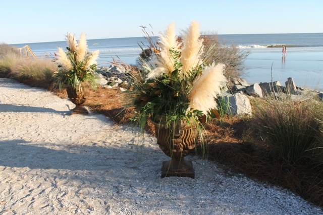 Wild Dunes 5