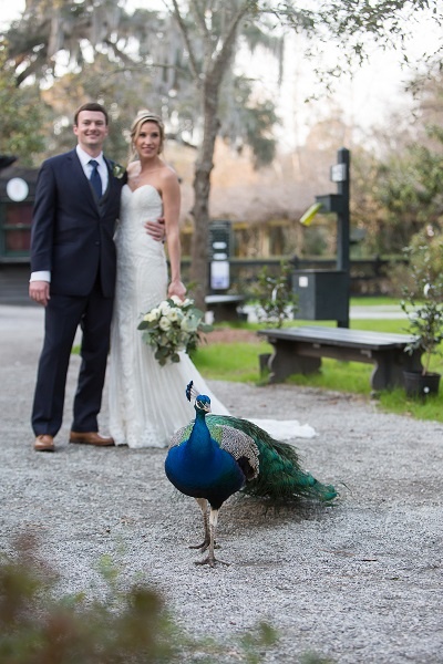 Magnolia Plantation 5