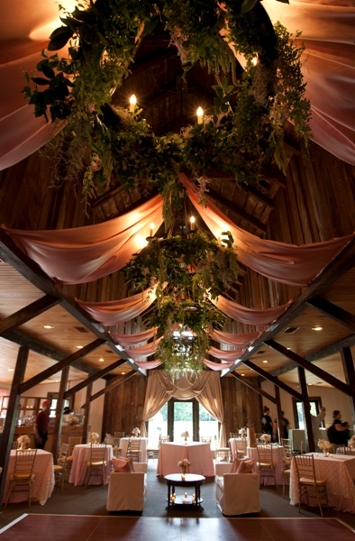 magnolia plantation