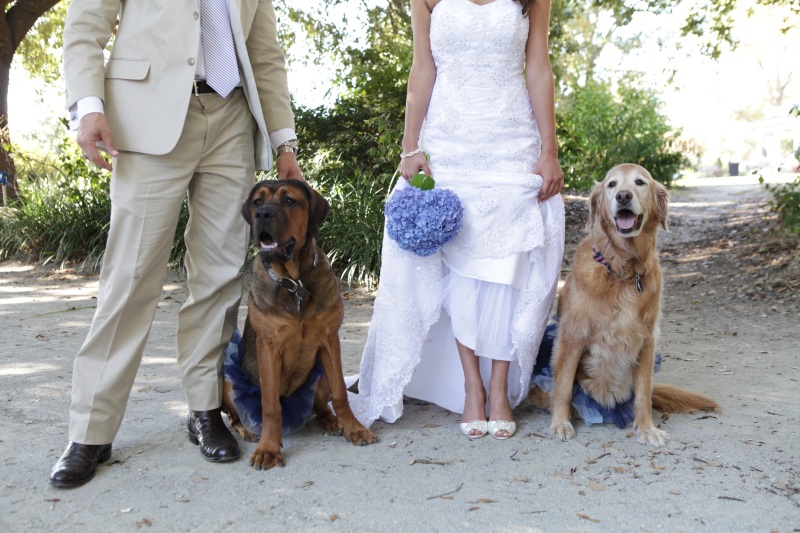 charleston-wedding-planner-3