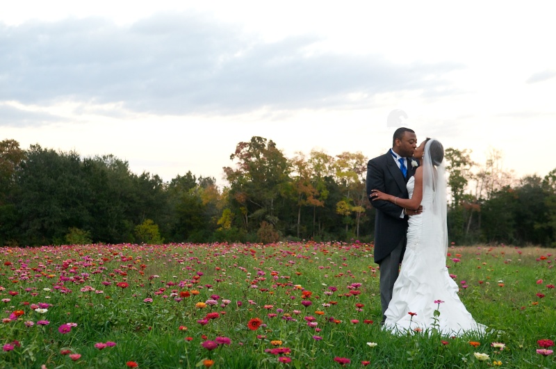 KJ The Island House Fall 1