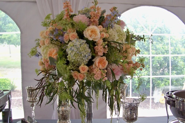 judy johnston florals