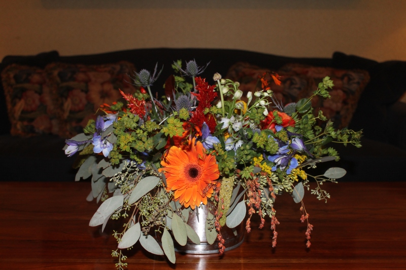 KM Turtle Point Fall 4