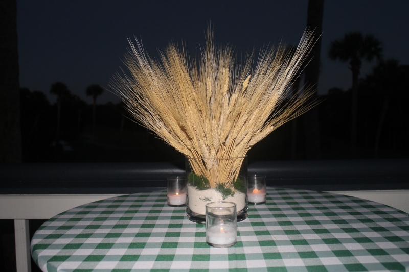 KM Turtle Point Fall 9