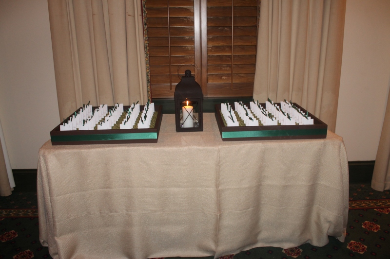 KM Turtle Point Fall 6