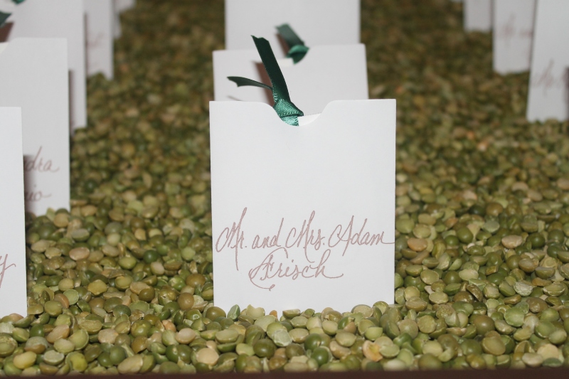 KM Turtle Point Fall 7