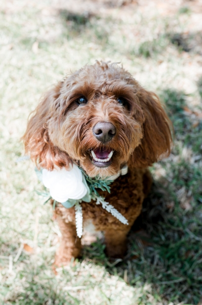 WhitneyColesWedding5.16.25-1