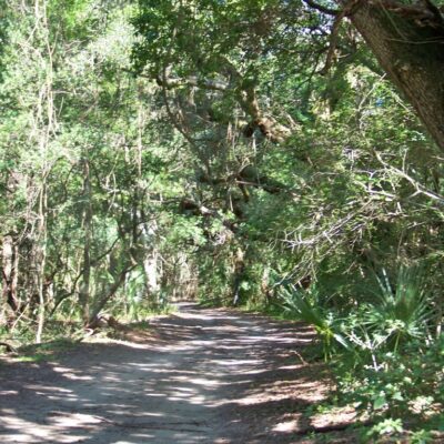 Wilkinson’s Landing