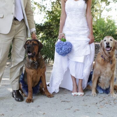 The Historic Rice Mill