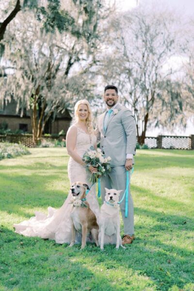 A couple in wedding attire posing with two dogs outdoors.