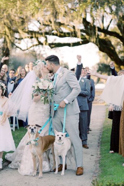 Couple walking dogs down aisle at outdoor wedding ceremony.