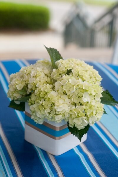 A bouquet of creamy white flowers in a striped vase.