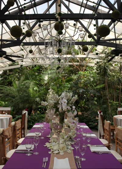Elegant dining setup in a lush greenhouse with purple tablecloths and floral centerpieces.