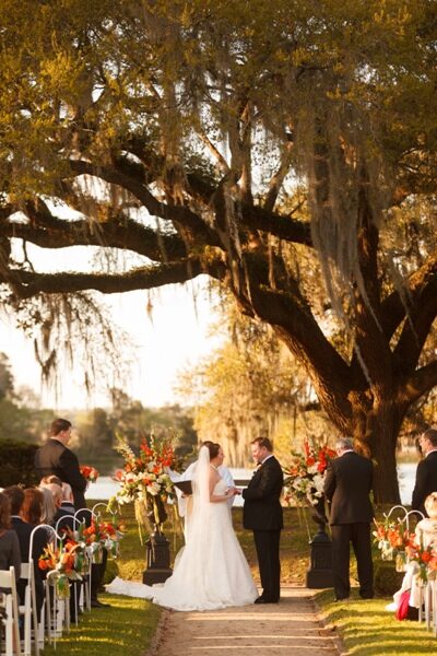 Outdoor wedding ceremony under large trees with guests seated.