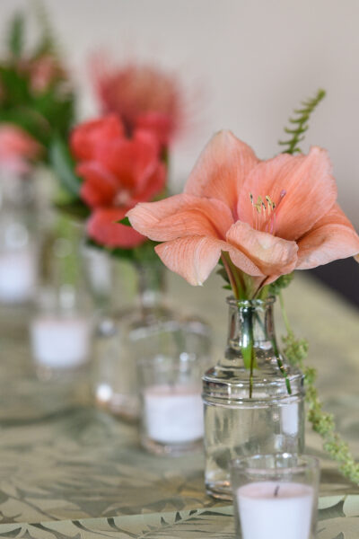 Delicate peach flowers in glass jars lined up on a table.