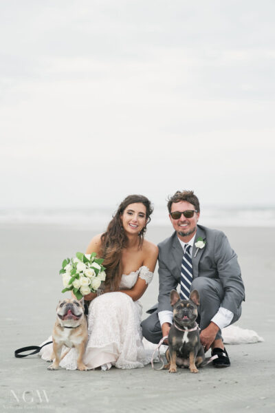 A bride and groom sitting on a beach with their two dogs.