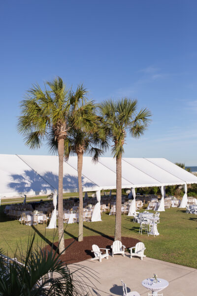 Outdoor event setup with white tents and palm trees under a clear blue sky.