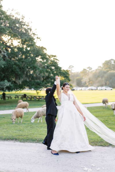 Newlyweds celebrate with raised hands in a scenic outdoor setting with sheep nearby.