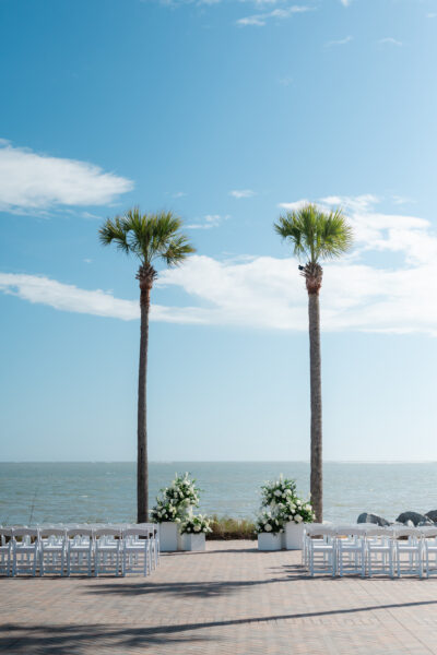 Two tall palm trees stand against a clear blue sky and ocean.
