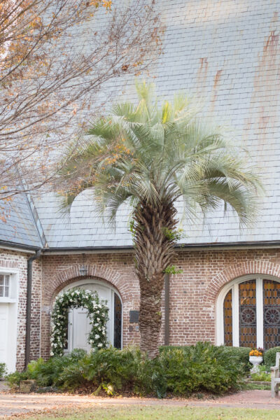 Charming stone house with arched windows and a palm tree in front.